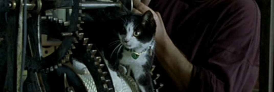 The Story of Marie and Julien (2003)