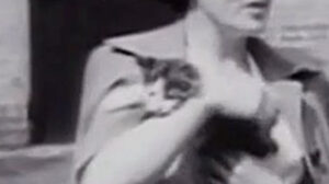 To Have and to Hold (1951)