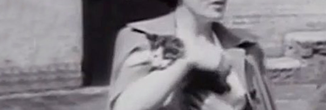 To Have and to Hold (1951)