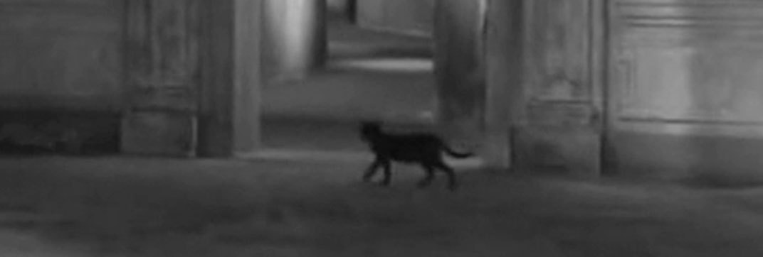 La Strega in Amore (1966)