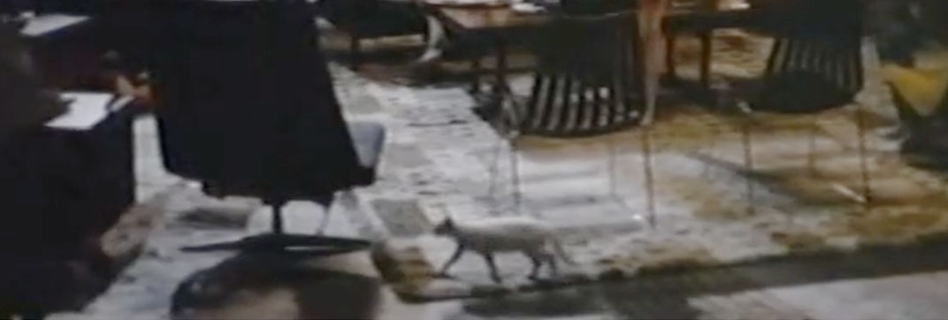 The 300 Year Weekend (1971)