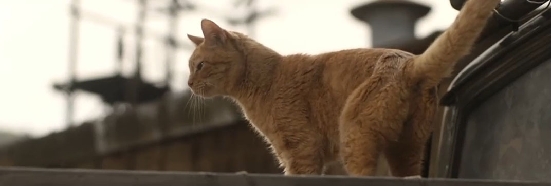 The Accountant 2 (2025)