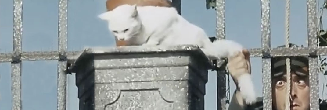 La feldmarescialla (1967)