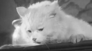 Hans engelska fru (1927)