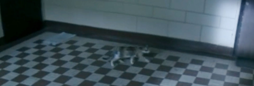 Hardcore Henry (2015)