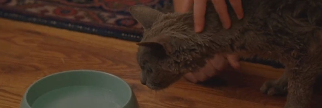 Lemonade Mouth (2011)