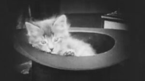 Old Heidelberg (1915)