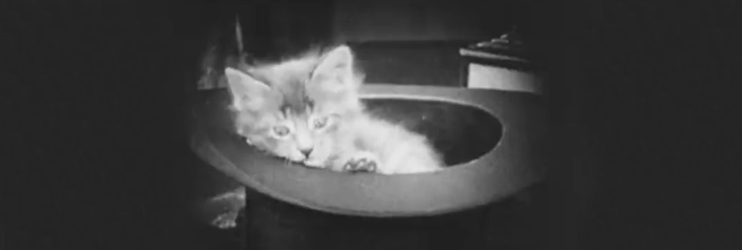 Old Heidelberg (1915)