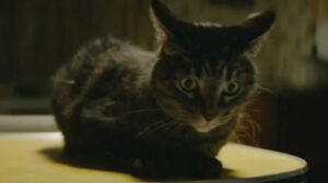 Onyx the Fortuitous and the Talisman of Souls (2023)