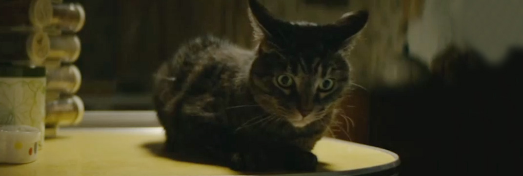 Onyx the Fortuitous and the Talisman of Souls (2023)