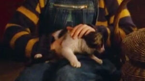 The Thief Lord (2006)