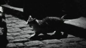 La traversée de Paris (1956)