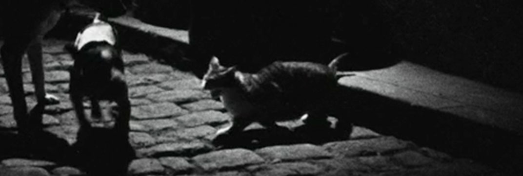 La traversée de Paris (1956)