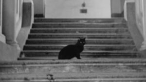 Anni difficili (1948)