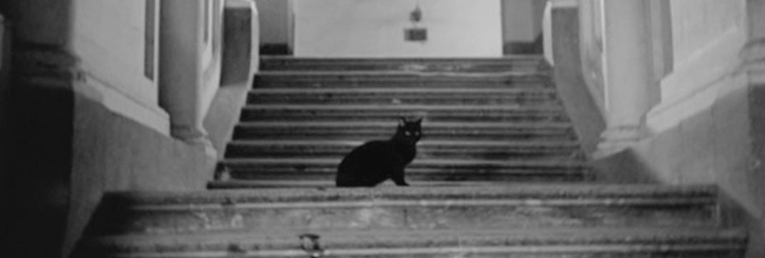 Anni difficili (1948)