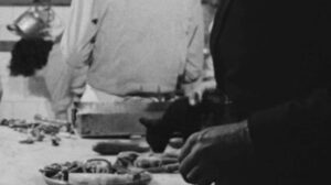 The Ape Woman (1964)