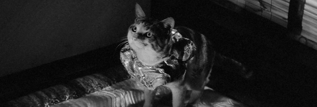 Bakeneko: A Vengeful Spirit (1968)
