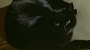 Carry On Loving (1970)