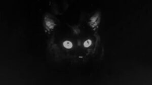 The Catman of Paris (1946)