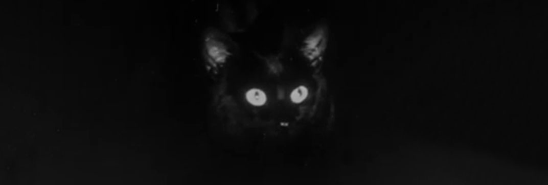 The Catman of Paris (1946)