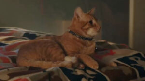 Child’s Play (2019)