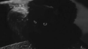 Daniel Boone – “Daughter of the Devil”