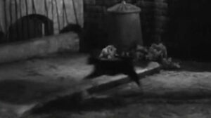 Date with Disaster (1957)