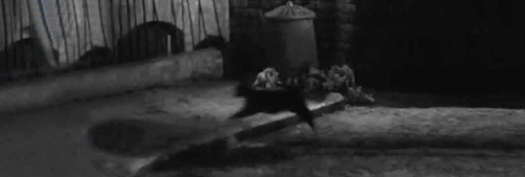 Date with Disaster (1957)