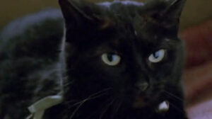 The Dressmaker (1988)