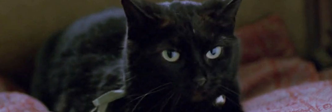 The Dressmaker (1988)