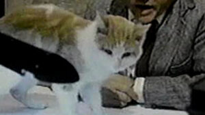 Eischied – “Friday’s Child”