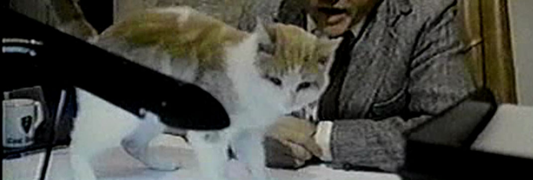 Eischied – “Friday’s Child”