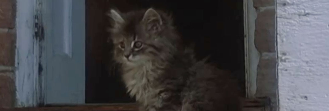 The Grasshopper (1970)