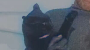 The Great White Silence (1924)