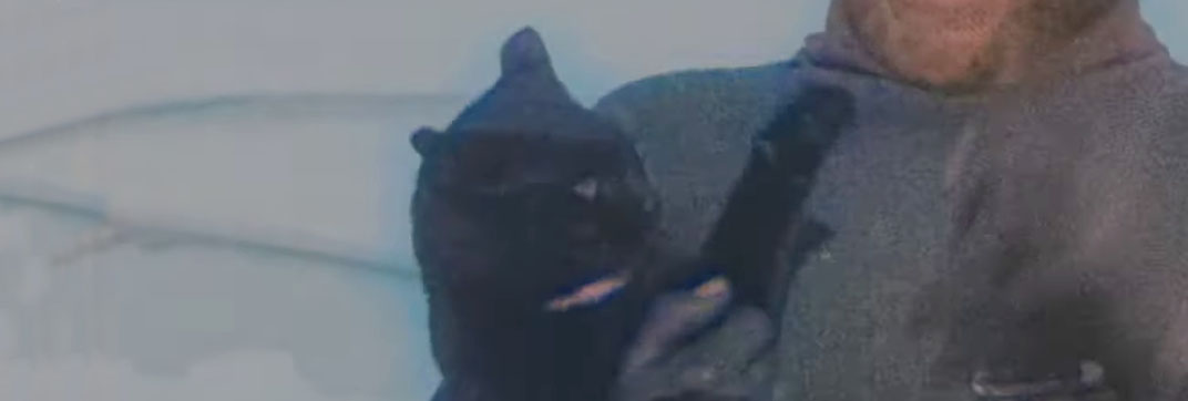 The Great White Silence (1924)