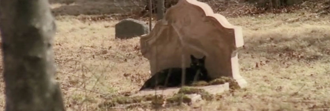 The House by the Cemetery (1981)