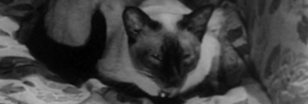 The House in the Woods (1957)