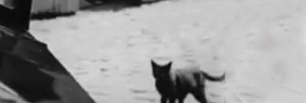 Der Liebe der Jeanne Ney (1927)