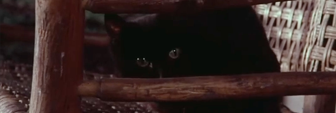 Little House on the Prairie – “Days of Sunshine, Days of Shadow”