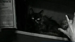 Love Among the Millionaires (1930)