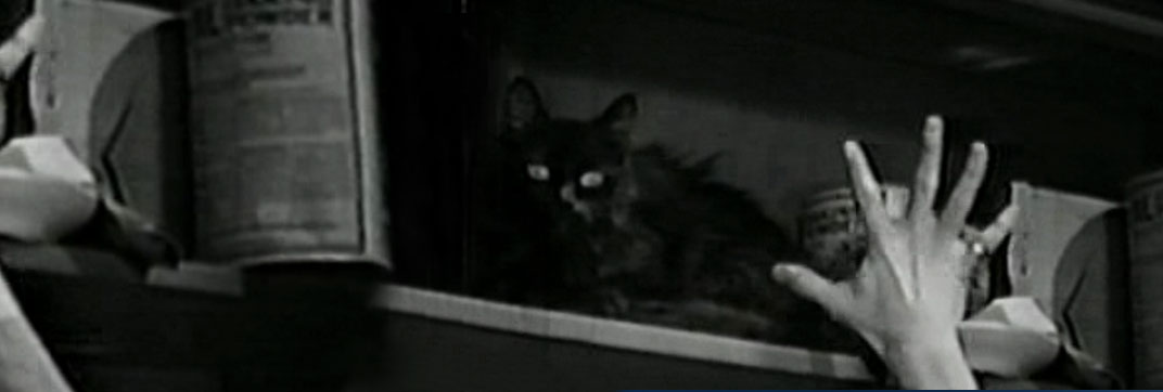 Love Among the Millionaires (1930)