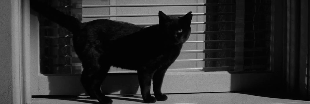 The Man Who Died Twice (1958)