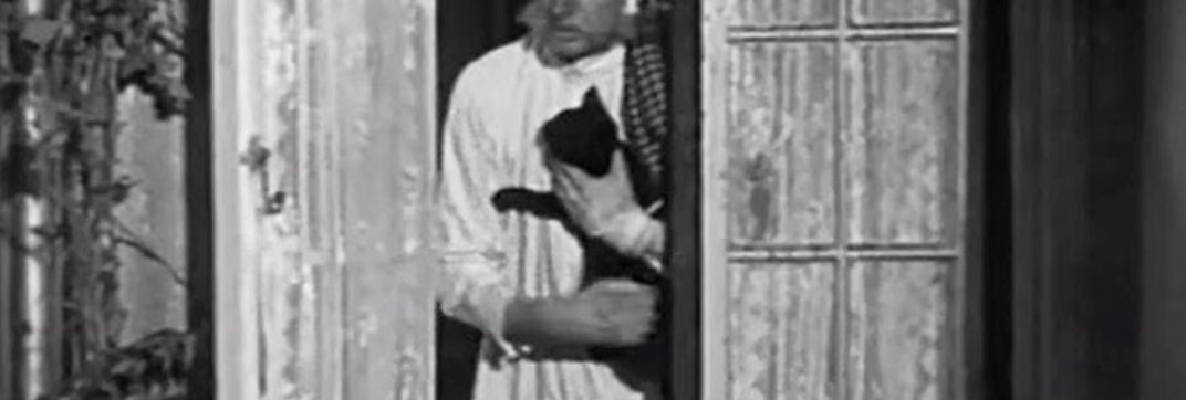 Medal for the General (1944)