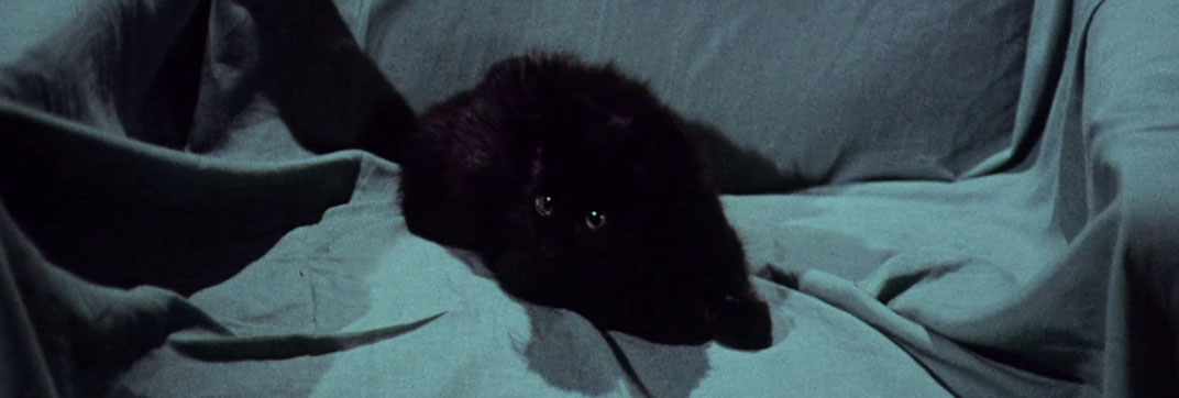 Miss Leslie’s Dolls (1972)