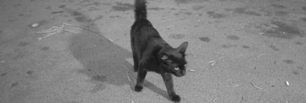 The Other Side of Madness (1971)