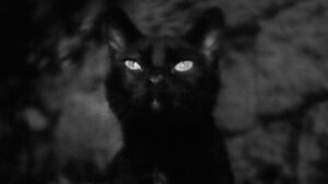 The Phantom Baron (1943)