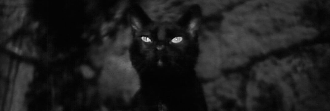 The Phantom Baron (1943)