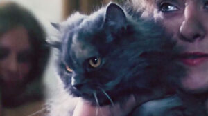 Sex with the Stars (1981)