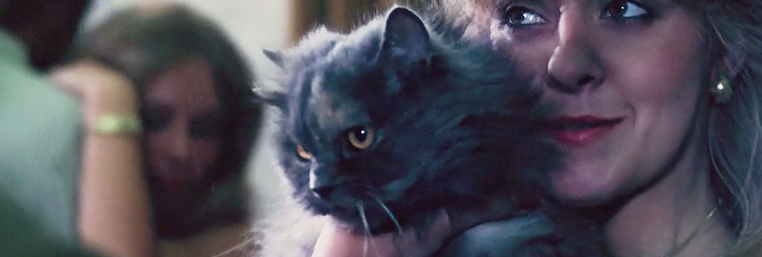 Sex with the Stars (1981)