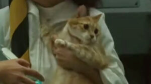 Space Battleship Yamato (2010)